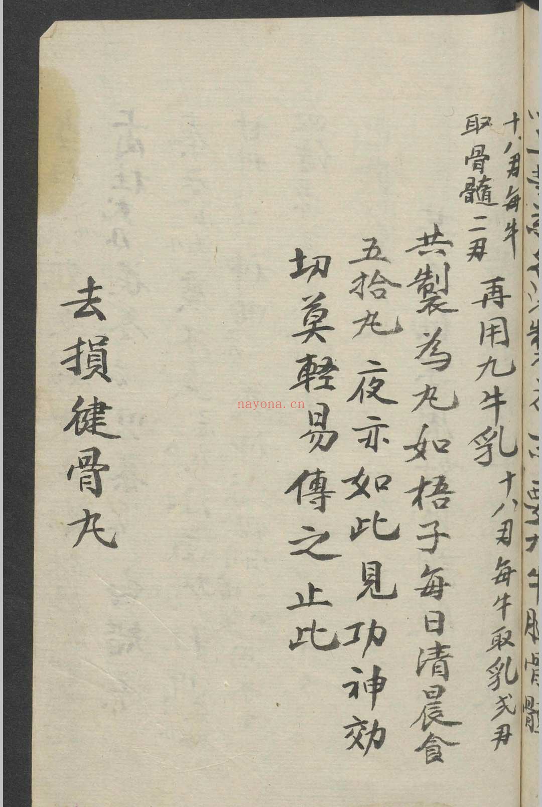 跌打损伤 1900