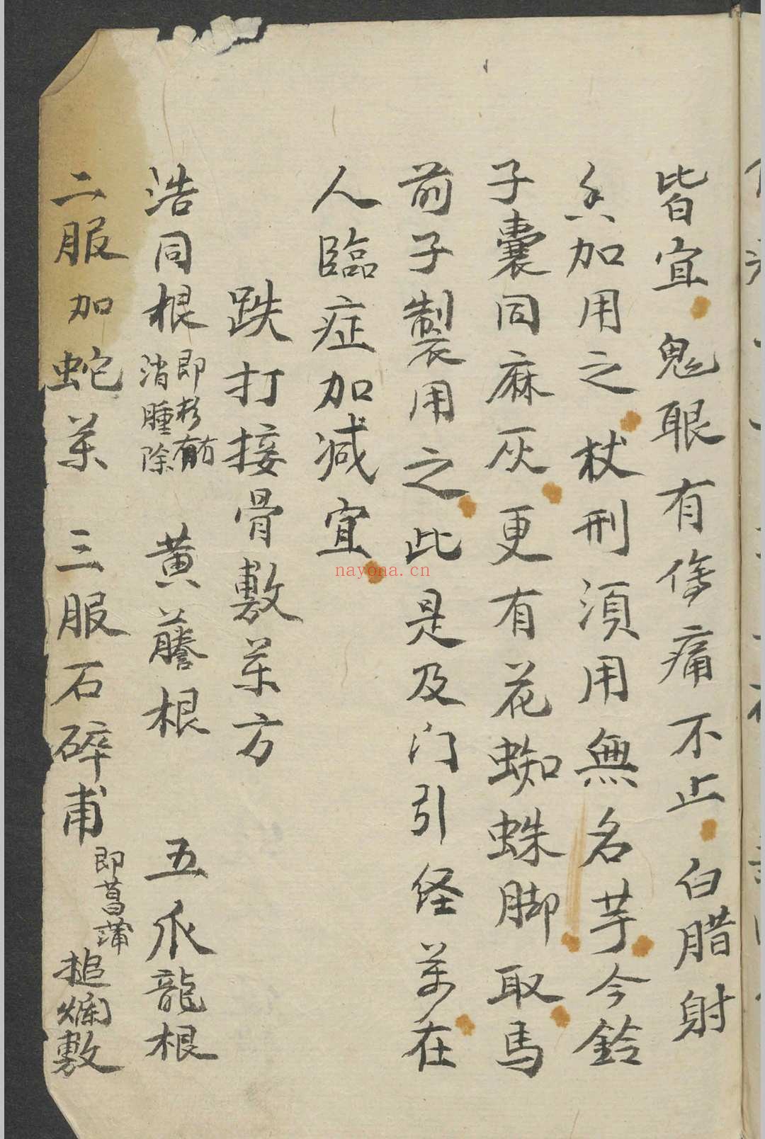 跌打损伤 1900