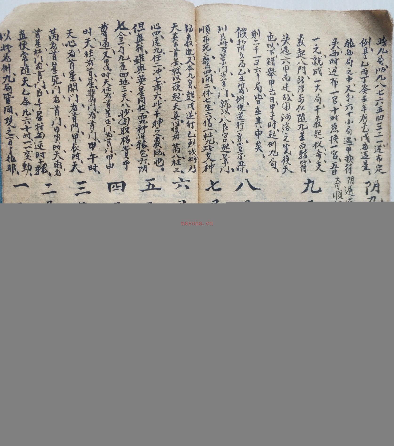 龙穴风水土色