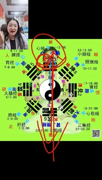 陈红《二十项绝技》视频5集
