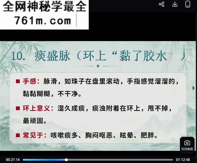 魏大林省非遗魏氏水粒2天线下课视频课程8集