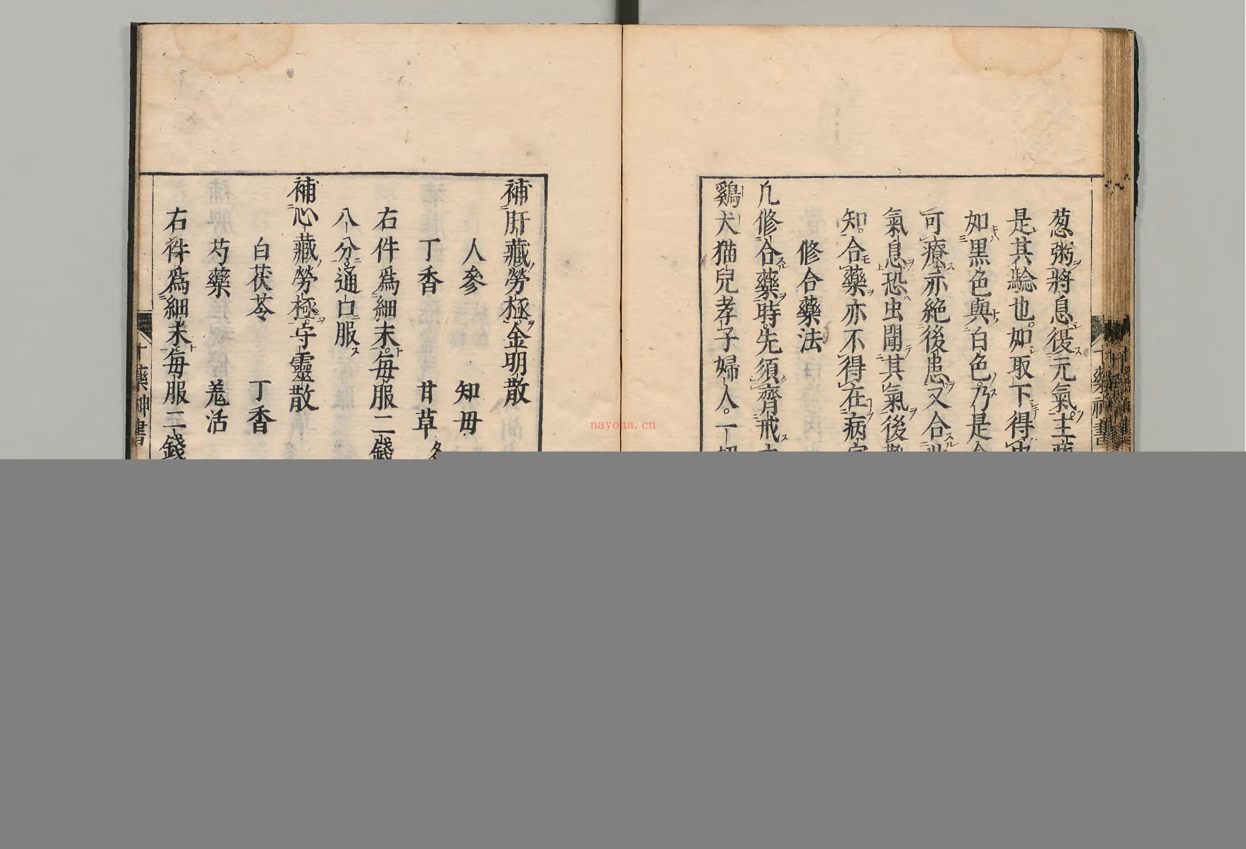 十药神书.1册