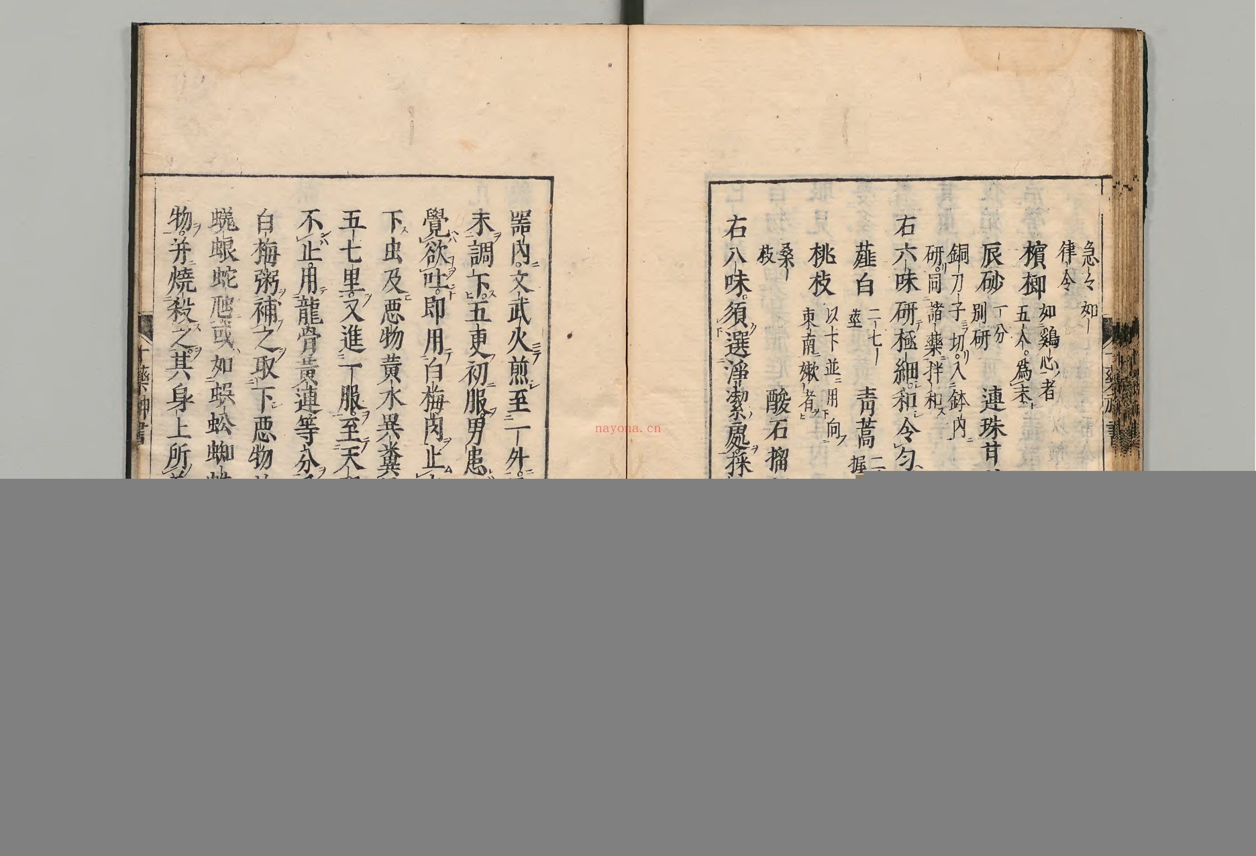十药神书.1册