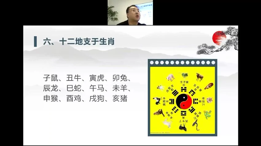 《道加老师四柱八字全阶课程山渊技能课课程》视频14集