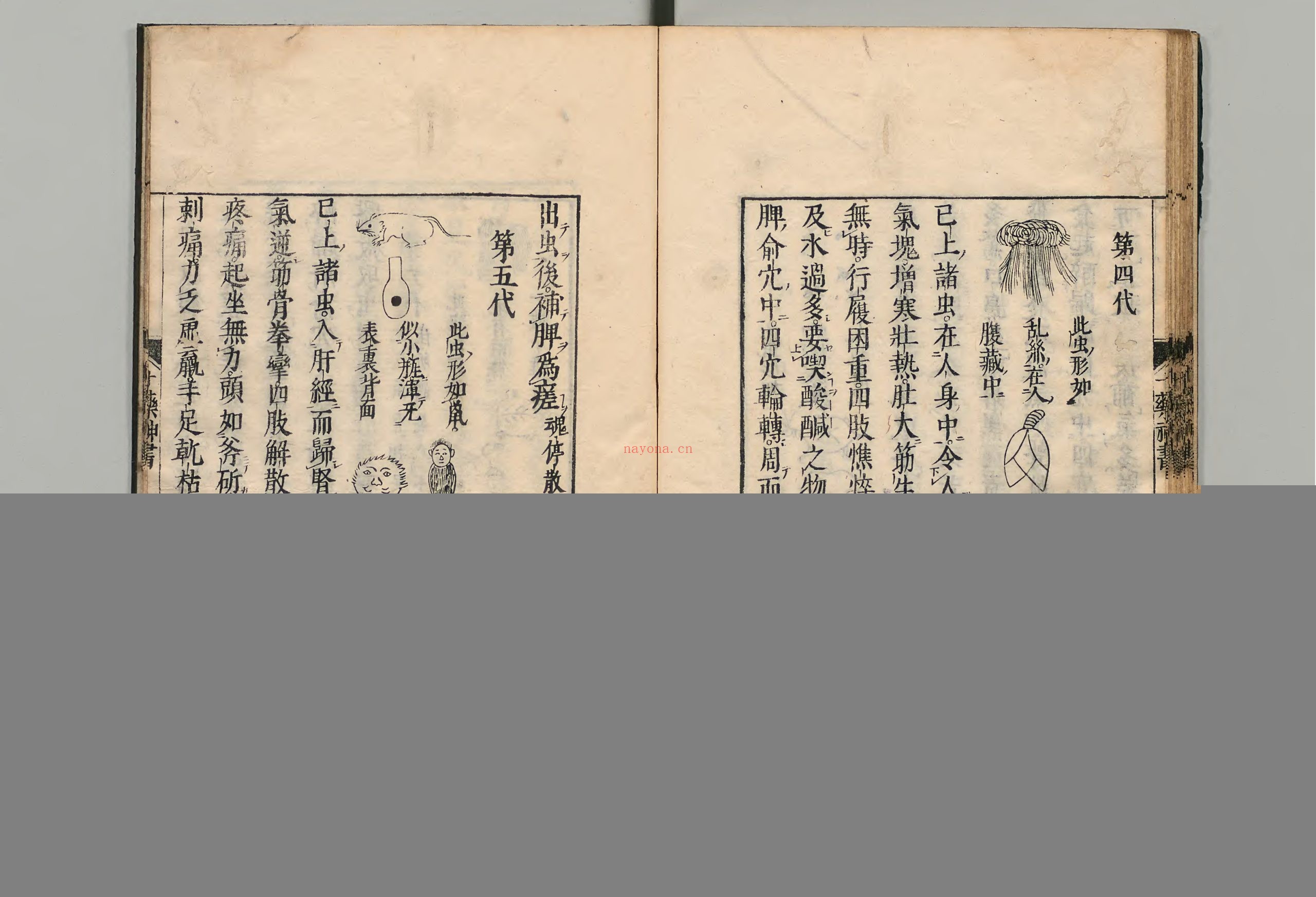十药神书.1册