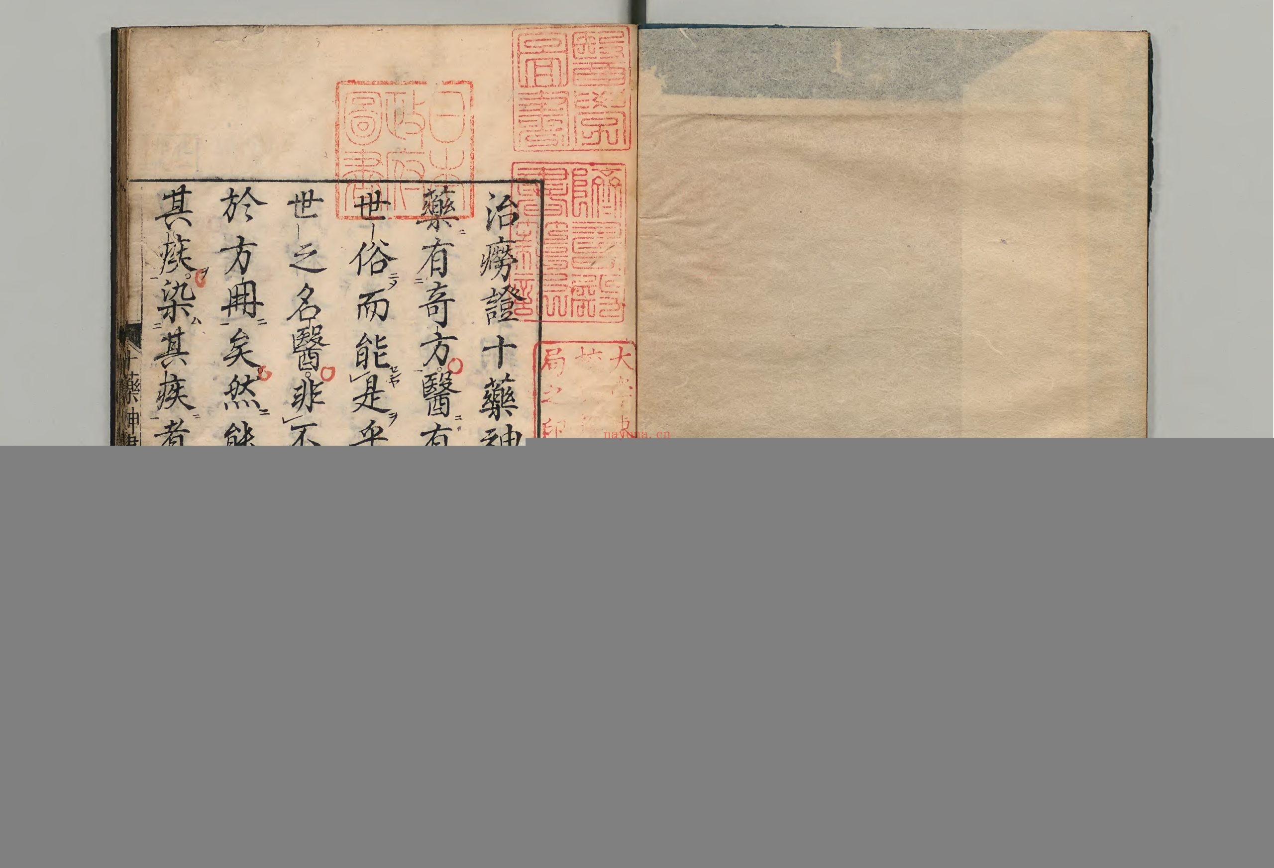 十药神书.1册