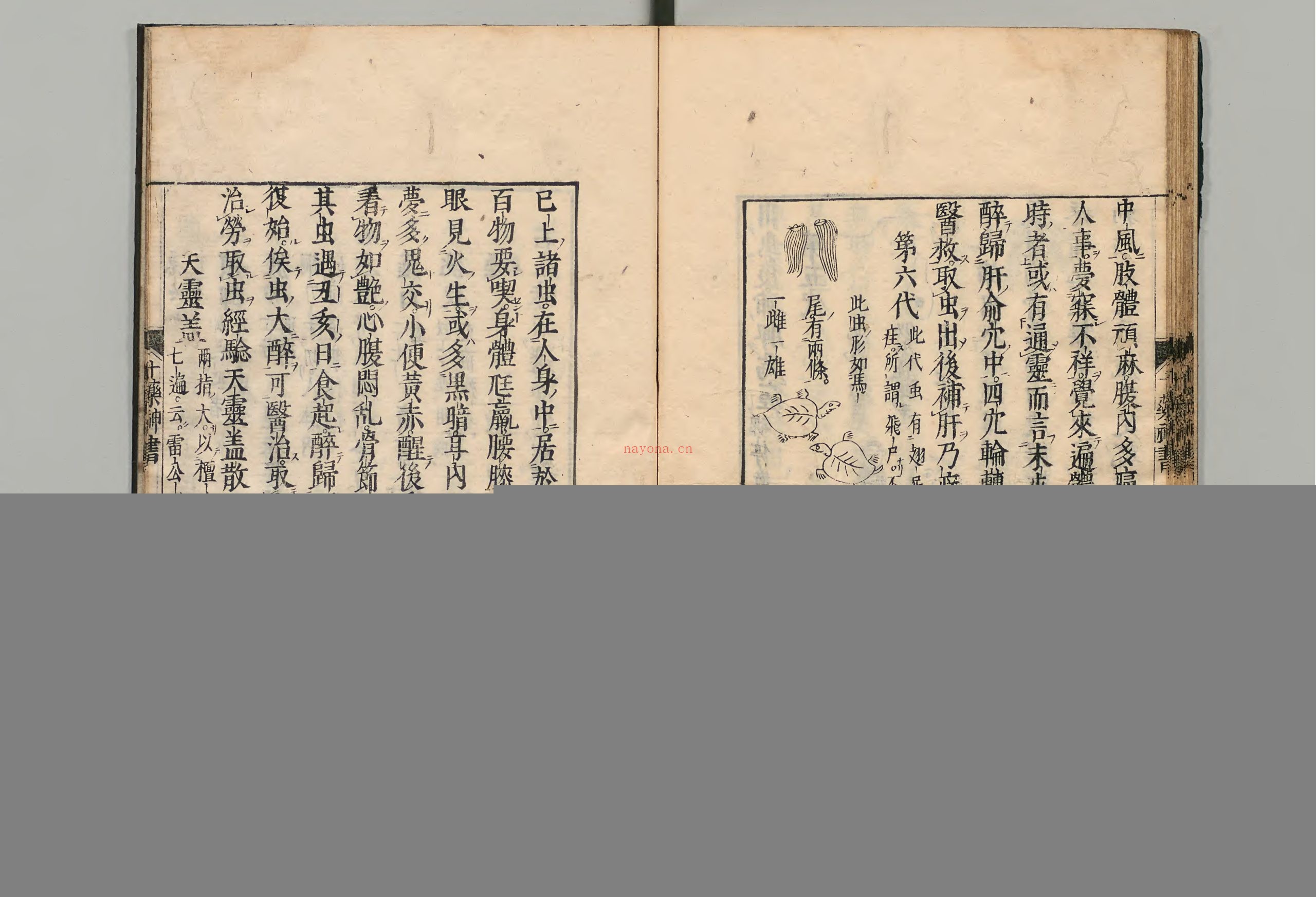 十药神书.1册