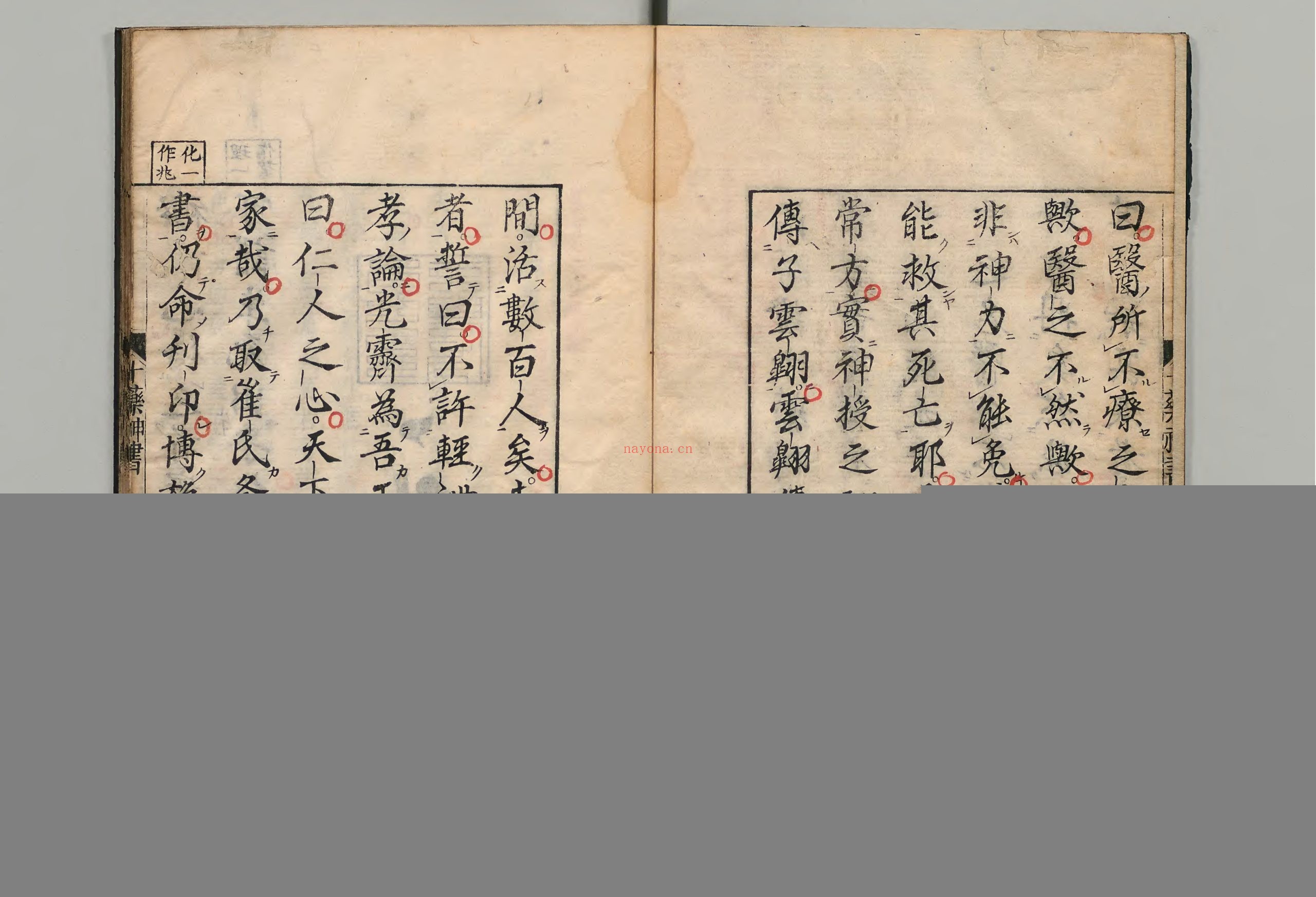 十药神书.1册