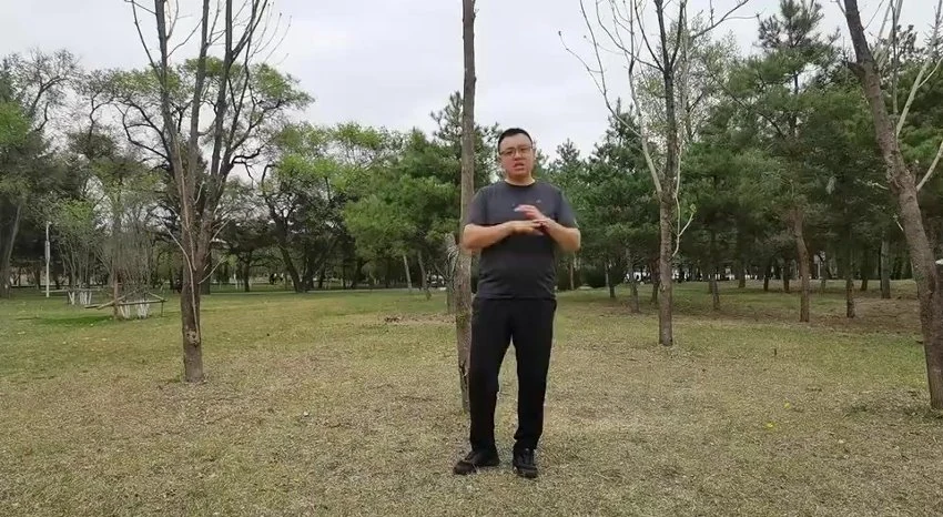 断门手《实战必学》视频4集