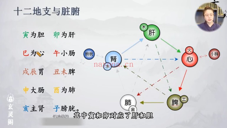 知易而行 信笛《六爻铜钱进阶课+专业课第一期》视频20集