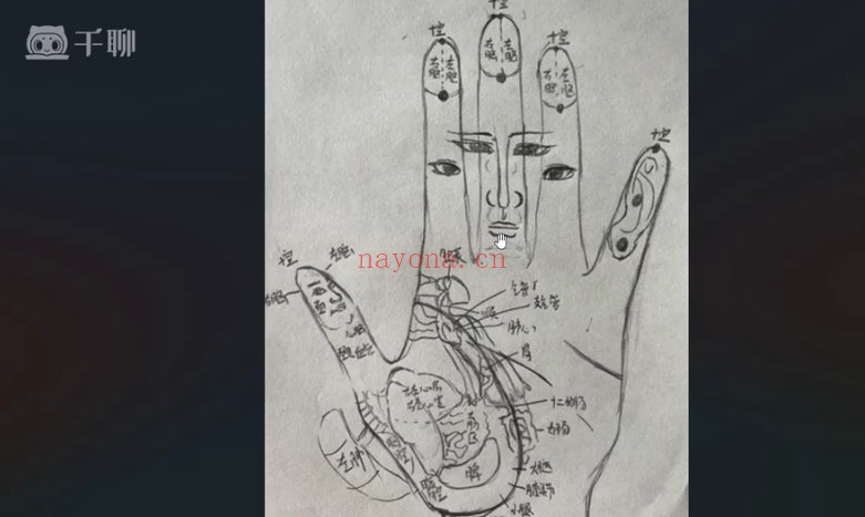 依依掌上乾坤手纹精讲23集视频 手相教程