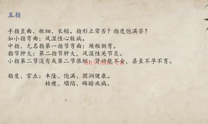 依依掌上乾坤手纹精讲23集视频 手相教程