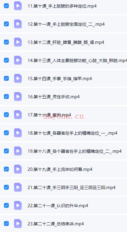 依依掌上乾坤手纹精讲23集视频 手相教程