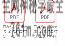 盲派八字顶级秘法象法理法技法上下册PDF电子书604页