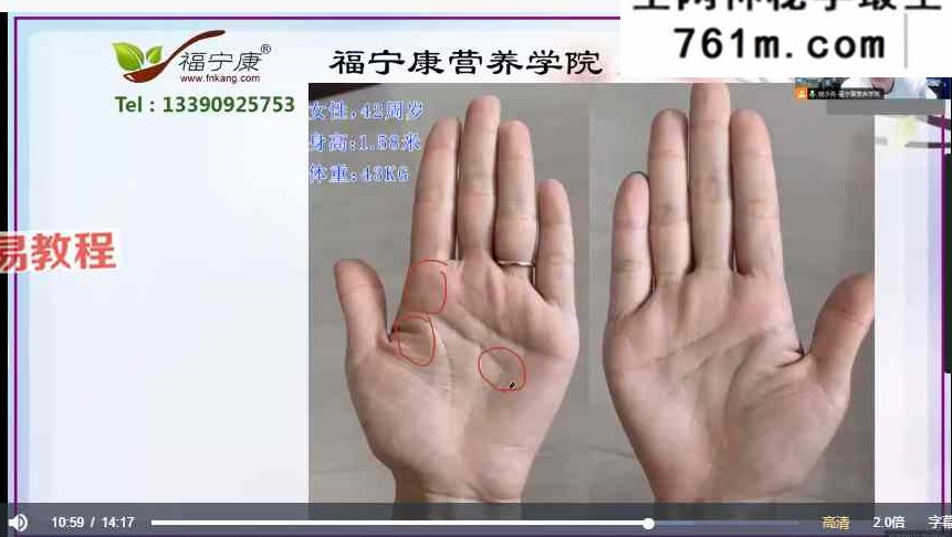 掌纹医学（合安堂）23讲视频+课件pdf