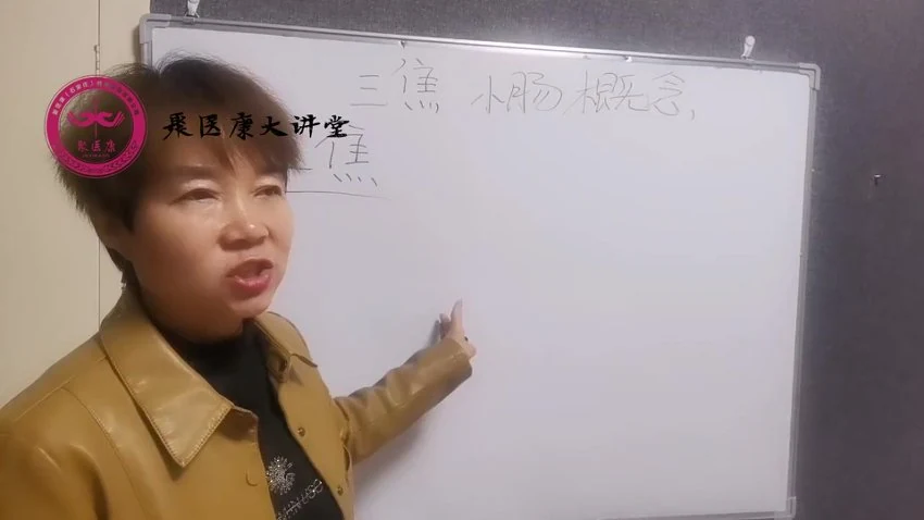 《华夏脏腑刘谨宣聚义康》视频9集