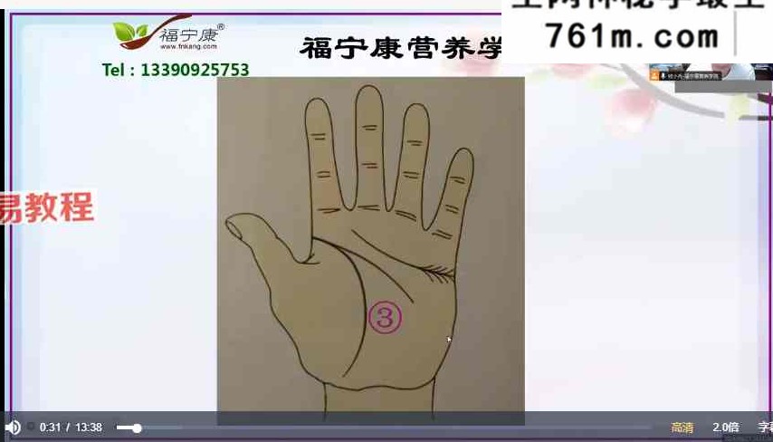 掌纹医学（合安堂）23讲视频+课件pdf