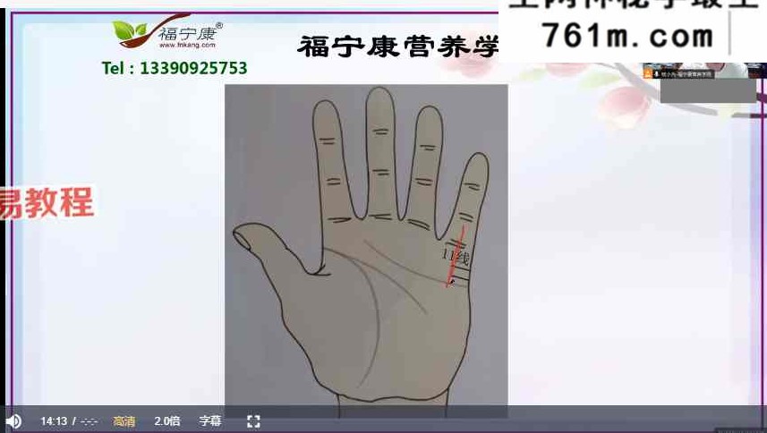 掌纹医学（合安堂）23讲视频+课件pdf