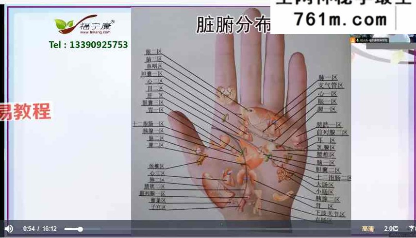 掌纹医学（合安堂）23讲视频+课件pdf