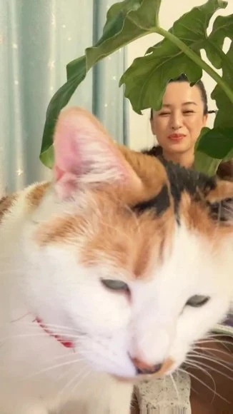 《灵修灵魂解读课程》视频13集