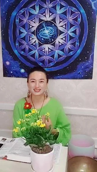 《灵修灵魂解读课程》视频13集