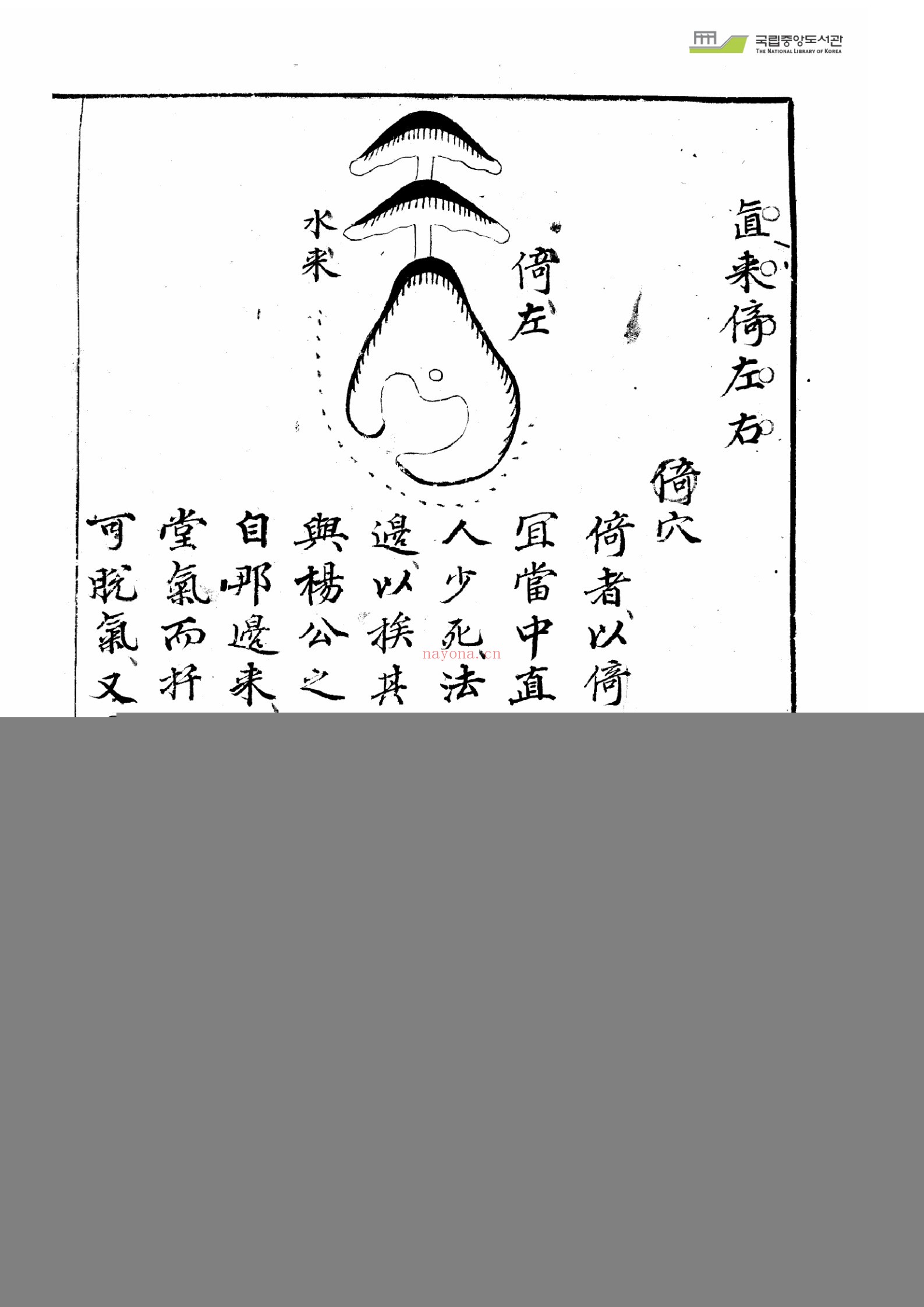 玄珠精选（4册）：传统文化资料
