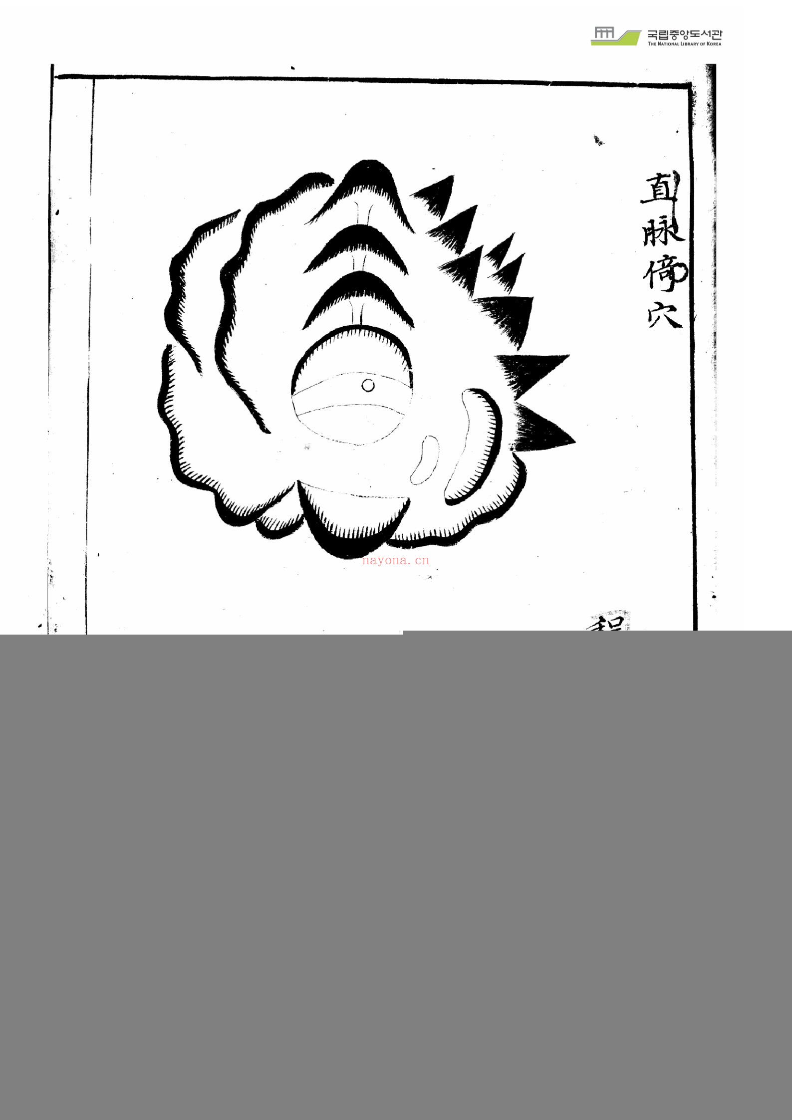 玄珠精选（4册）：传统文化资料
